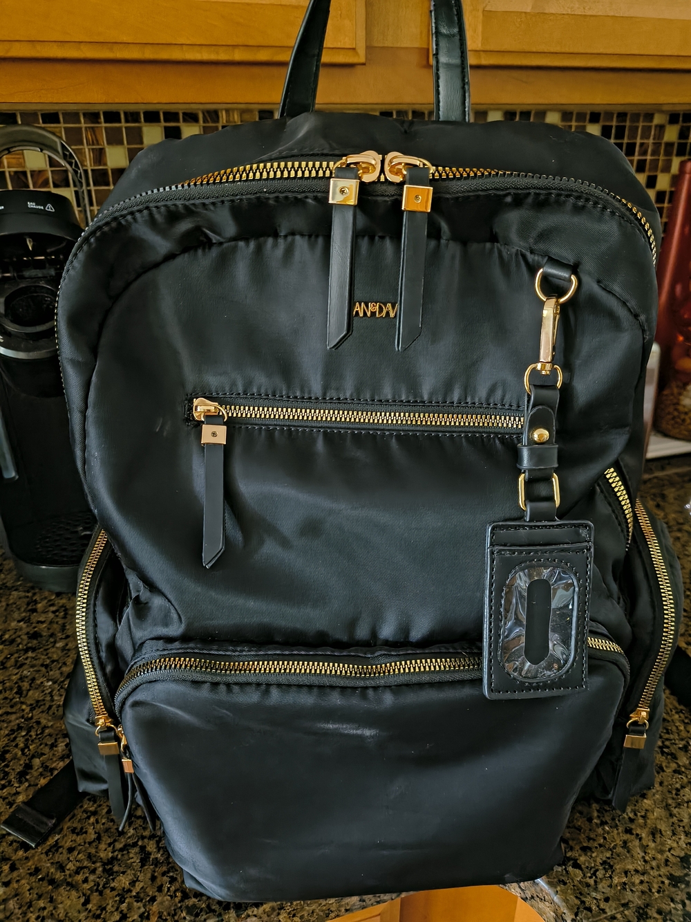 Classy Joan & David Black Nylon Backpack with Gold Hardware and Luggage Tag